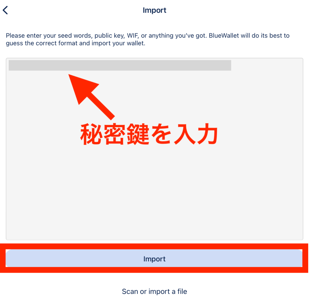 BlueWalletでペーパーウォレットの秘密鍵を入力する画面